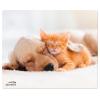 SPEEDLINK SILK Mousepad Dog&Cat SL-620000-DOG