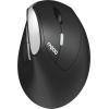 RAPOO EV250 Vertical Mouse 13531 2,4 GHz, wireless