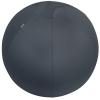 LEITZ Sitzball Cosy 5279-00-89 grau Ø65cm 1 Stk