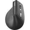 RAPOO EV310M Ergo. Wirel. Mouse 13049 Multi-Mode, Grey