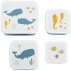 ALLC Lunch & Snackbox Ocean SBSEOC39