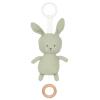 JABADABADO Musik Mobile Hase 24cm K121 grün