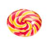 ROOST Magnet Lollipop Ø3.5cm PA-M2041 assortiert