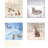 COPPENRATH Adventskalender 15x15cm 72279 Winterzauber