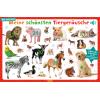 ARS EDITION Adventskalender 62x40.2cm 12739 Schönte Tiergeräusche, Sounds