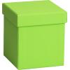 STEWO Geschenkbox One Colour 2551782890 grün hell 11x11x12cm