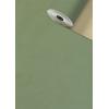 STEWO Apparaterollen Geschenkpapier 2523542846 Uni Gras 0,7x150m