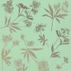 STEWO Serviette Lilia 2572532446 hell 33x33cm