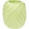 STEWO Geschenkband Raffia 2583414046 grün 7mm