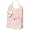 PARTYDECO Geschenktasche 18x10.5x27.5cm TNP34 Katze rosa