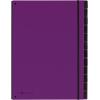 PAGNA Pultordner Trend A4 24129-12 lila 12 Fächer