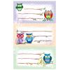 Z-DESIGN Sticker Eule 8.4x16cm 59249Z farbig 2 Bogen