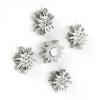 TRENDFORM Magnete EDELWEISS FA4509 5er Set, silber
