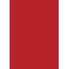 STEWO Geschenkpapier Uni Plain 2526591322 70x500cm rot dunkel