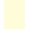 STEWO Geschenkpapier Uni Plain 2528591351 70x200cm beige hell