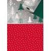 STEWO Geschenkpapier Duo Nelson 2522586075 0,5x250m silber