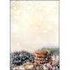 SIGEL Weihnachts-Papier A4 DP304 90g,Winter Smell 25 Blatt