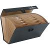 FELLOWES Document-Manager A4 9352101 schwarz