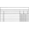 SIMPLEX Statistikbuch A4 19082 2 Kolonnen, grün 40 Blatt