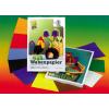 URSUS Wabenpapier 16,5x23cm 9930099 30-lagig, farbig ass. 10 Blatt