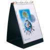 EXACOMPTA Ringbuch Exactive A3 56134E schwarz