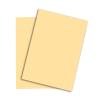 PAPYRUS Rainbow Papier FSC A4 88042276 80g, chamois 500 Blatt