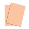 PAPYRUS Rainbow Papier FSC A3 88042500 80g, lachs 500 Blatt
