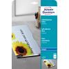 AVERY ZWECKFORM Selbstklebende Folie A4 2500Z 0.17mm Inkjet 10 Blatt