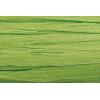 KNORR PRANDELL Edelbast 30m 8533042 lindengrün matt