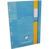 CLAIREFONTAINE Ringbucheinlagen A4 1751 seyes 100 Stück