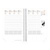 QUO-VADIS Agenda Time&Life Pock. 2026 539068Q 1W/2S Ersatzkal. FR 10x15cm