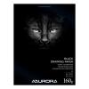 AURORA Zeichenblock 24X31,5cm BL33 schwarz, 160g 20 Blatt