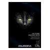 AURORA Zeichenblock 24,5X34,5cm BL7 color, 120g 20 Blatt