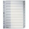 LEITZ Register PP A4 12800000 grau 1-10