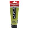 AMSTERDAM Acrylfarbe 250ml 17126210 olivgruen hell 621