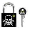 MASTER LOCK Vorhangschloss 30mm 66246800 Totenkopf Motiv