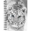 BIELLA Schüleragenda BlackWhite 25/26 806517860026U 1W/2S 12x16.5cm