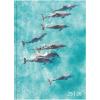 BIELLA Schüleragenda Animal 25/26 806544830026U 1T/1S 12x16.5cm