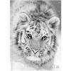 BIELLA Schüleragenda BlackWhite 25/26 806544860026U 1T/1S 12x16.5cm