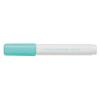 PILOT Marker Pintor 0.7mm SW-PT-EF-PG pastell grün