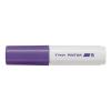 PILOT Marker Pintor 8.0mm SW-PT-B-V violett