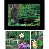 HASCHEMI Doppelkarten-Box 118 118 MONETS GARTEN