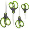 RAPESCO Schere Soft-Grip 1576 4 Stück grün