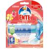 WC-ENTE Fresh Discs 1119002 Blütenoase