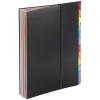 VIQUEL Pultmappe A4 111867 A4 36 Fächer schwarz/bunt