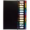VIQUEL Pultmappe A4 118967 A4 1-12 schwarz/bunt