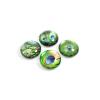 TRENDFORM EYE Magnete PEACOCK EY2020 4er Set