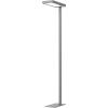 HANSA Stehleuchte LED Jaspis 41-5010.728 dimmbar, anthrazit