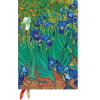 PAPERBLANKS Agenda Iris Van Gogh 2026 DF0890-4 1W/2S HOR Mini HC FR 9.5x14cm