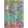 PAPERBLANKS Notizbuch Van Goghs Midi PB8204-0 liniert, 144 S., bunt